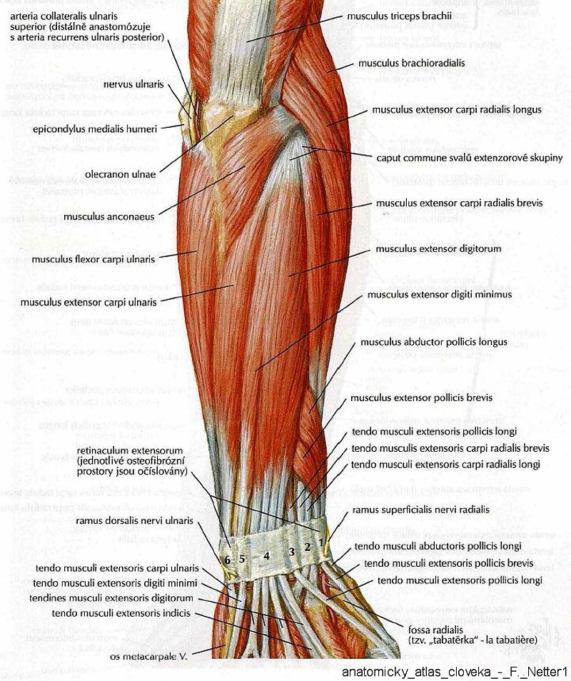 6515_svaly_predlokti5